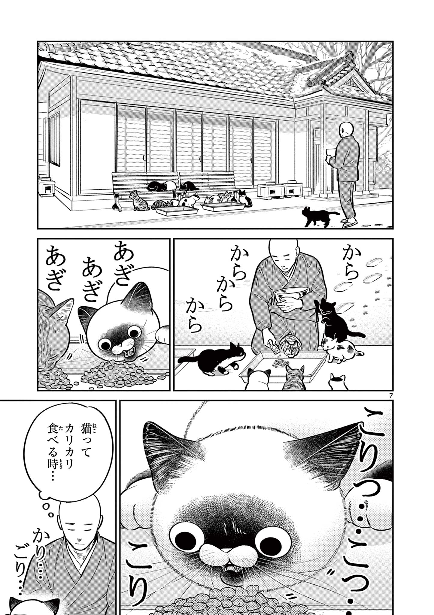 7