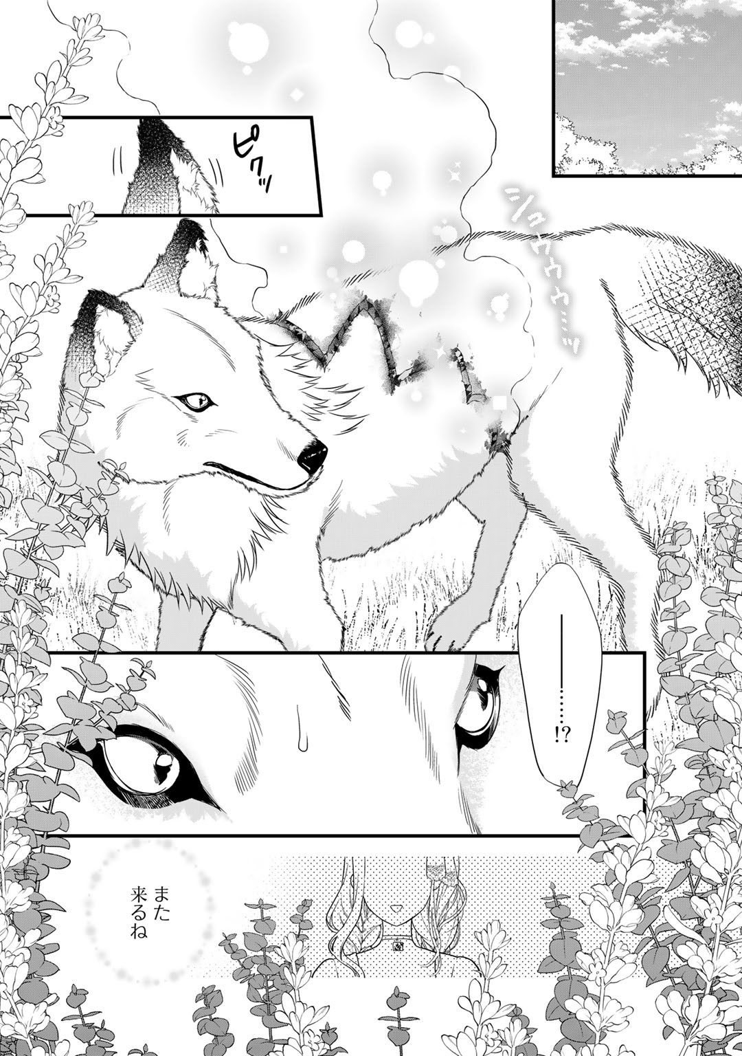 TSUNDERU MOTO AKUYAKU REIJO WA DO S OJI-SAMA KARA NIGEDASHITAI - raw - Chapter 13 - https://jpdd.ccdd.to/JPDD/17001505/e50i1tdxqqg.jpg