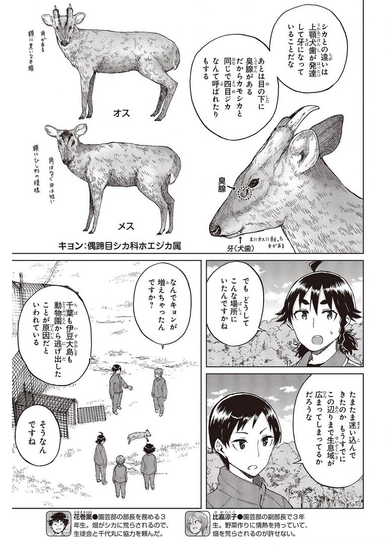 WANA GIRL - raw - Chapter 41 - https://jpdd.ccdd.to/JPDD/26081505/zzczabnyupy.jpg