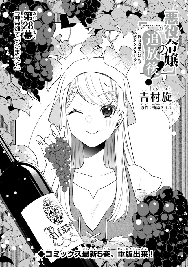 AKUYAKUREIJO NO TSUIHOGO! KYOUKAI KAIKAKU GOHAN DE YUUYUU SHISUTAA KURASHI - raw - Chapter 28 - https://jpdd.ccdd.to/JPDD/akuyakureijonotsuihogokyoukaikaikakugohandeyuuyuushisutaakurashi/176296/va0ikh3ttxo.jpg