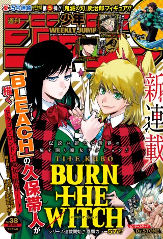 BURN THE WITCH