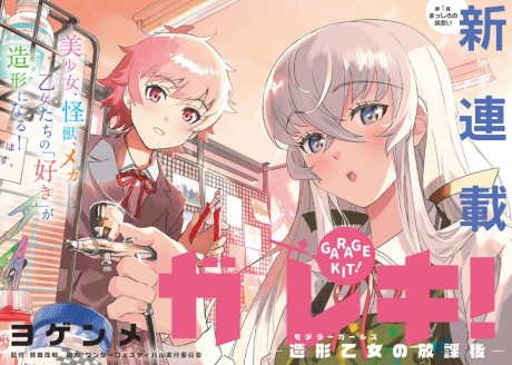 GAREKI!: MODELLER GIRLS NO HOUKAGO