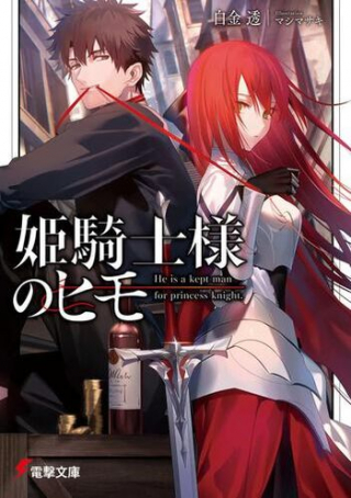 HIME KISHI-SAMA NO HIMO