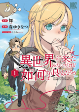 ISEKAI NI KITA MITAI DAKEDO IKANISUREBA YOI NO DAROU