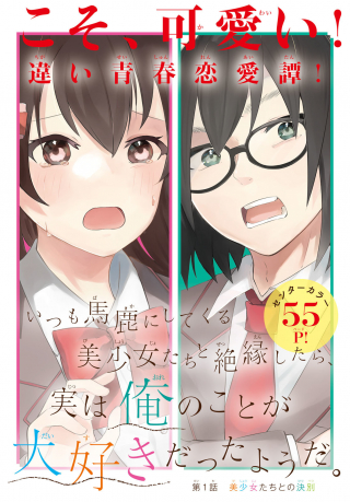 ITSUMO BAKA NI SHITEKURU BISHOUJO-TACHI TO ZETSUEN SHITARA, JITSU WA ORE NO KOTO GA DAISUKI DATTA YOU DA.