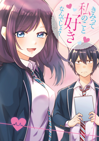 KIMITTE WATASHI NO KOTO SUKI NANDESHO?