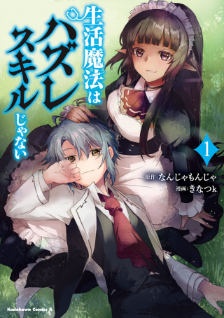 SEIKATSU MAHOU WA HAZURE SKILL JANAI