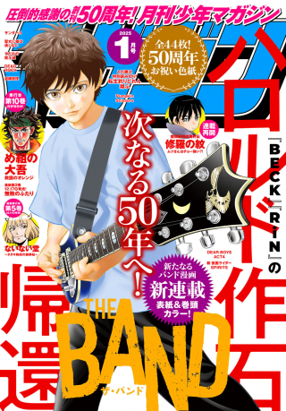 THE BAND