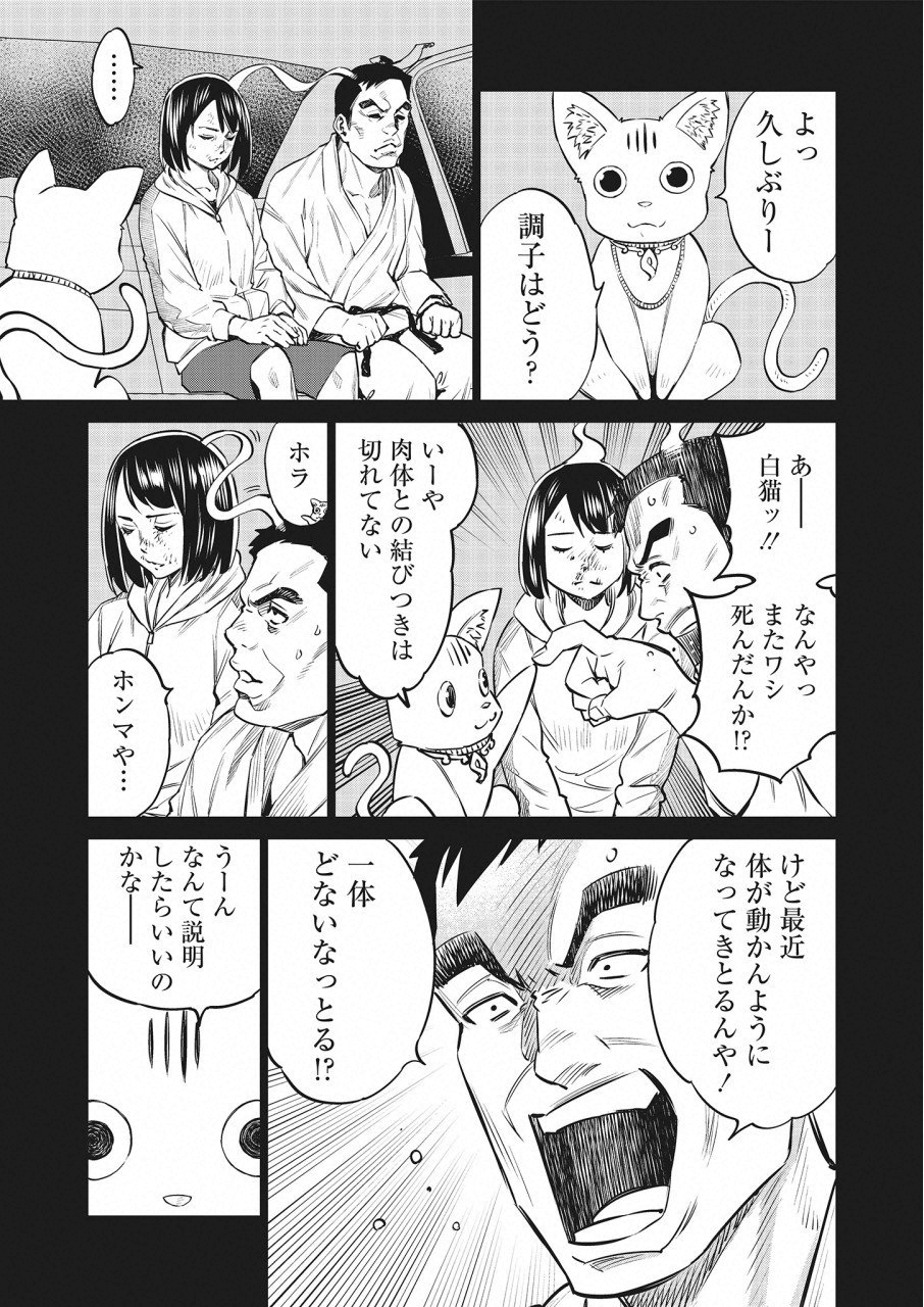 DOLKARA - raw - Chapter 20 - https://jpdd.ccdd.to/JPDD/dolkara/88511/gykbiybadli.png