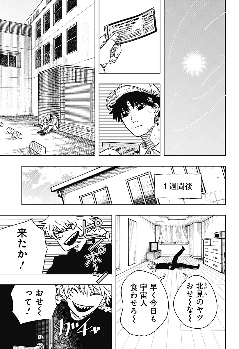 23