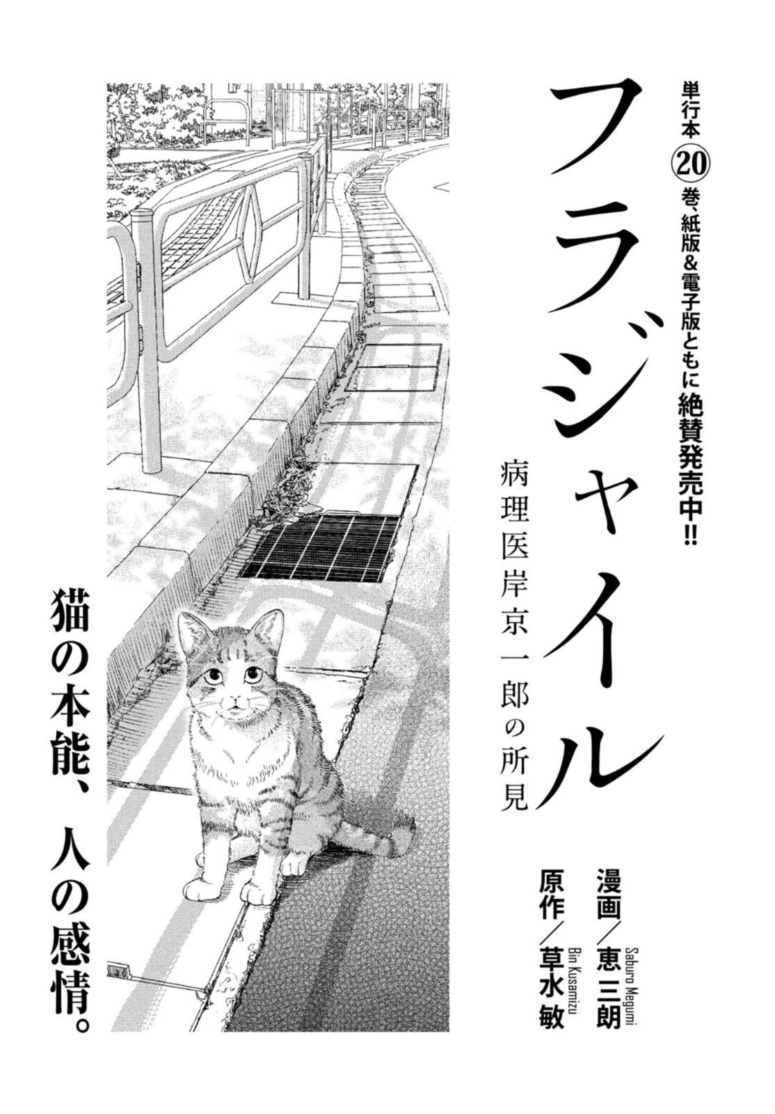FRAGILE - BYOURII KISHI KEIICHIROU NO SHOKEN - raw - Chapter 85 - https://jpdd.ccdd.to/JPDD/fragilebyouriikishikeiichirounoshoken/169364/svtmvprquht.jpg