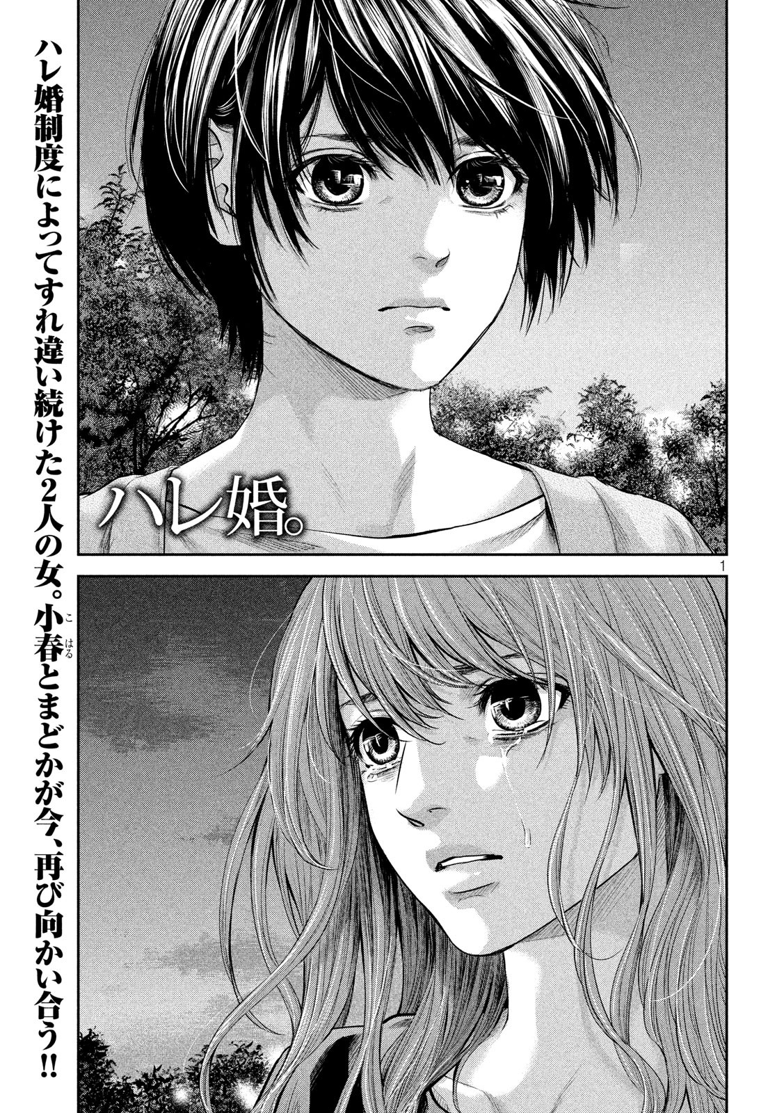 HARE KON. - raw - Chapter 178 - https://jpdd.ccdd.to/JPDD/harekon/82397/0ebony0u53h.jpg