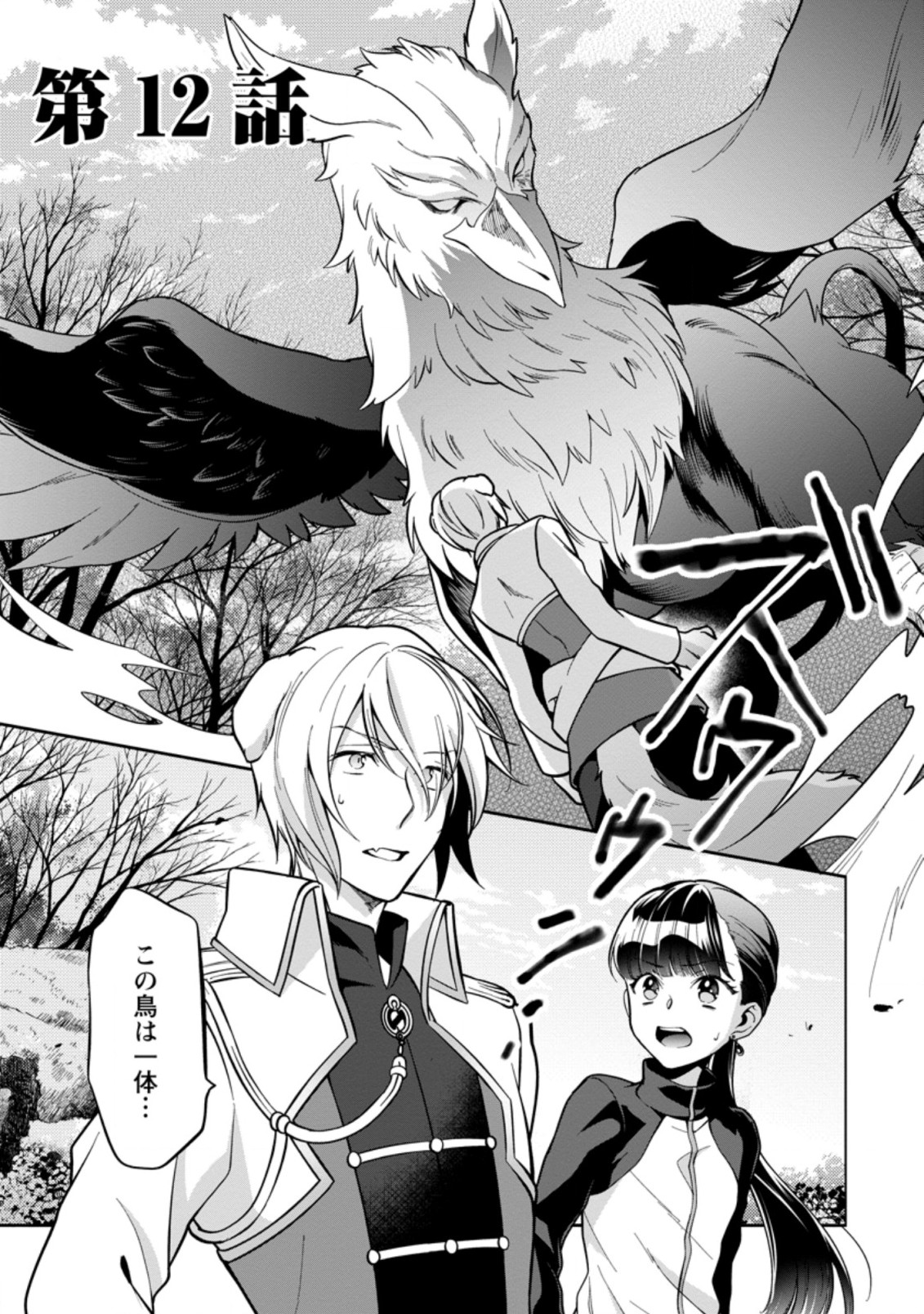 HITO O KATTE NI SANBO NI SURU NJANAI, KONO HAOU. ~ GEMU SEKAI NI HORIKOMA RETA OTAKU NO KURO ~ (MANGA) - raw - Chapter 12.1 - https://jpdd.ccdd.to/JPDD/hitookattenisanbonisurunjanaikonohaougemusekainihorikomaretaotakunokuromanga/160911/5deegqhwodw.jpg