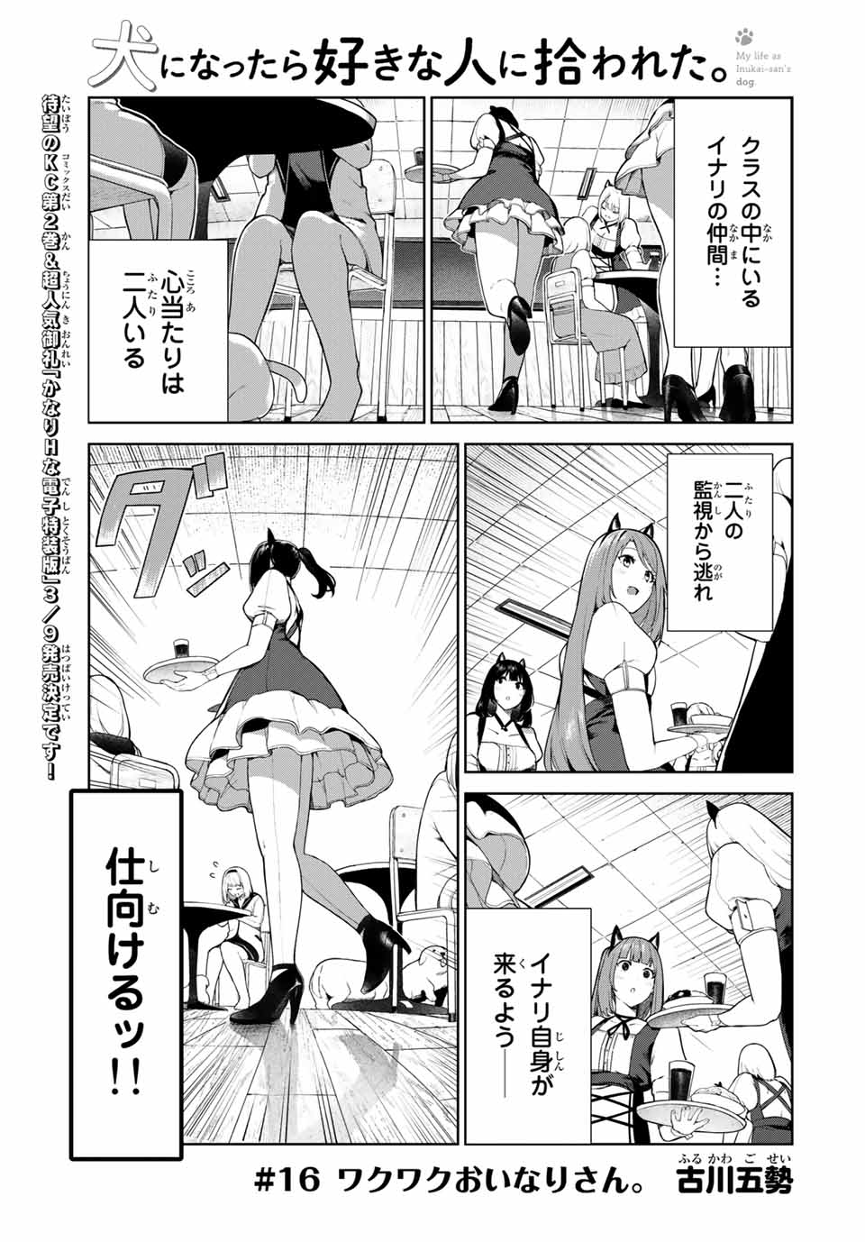 INU NI NATTARA SUKI NA HITO NI HIROWARETA - raw - Chapter 16 - https://jpdd.ccdd.to/JPDD/inuninattarasukinahitonihirowareta/160561/jldhad3goxi.jpg