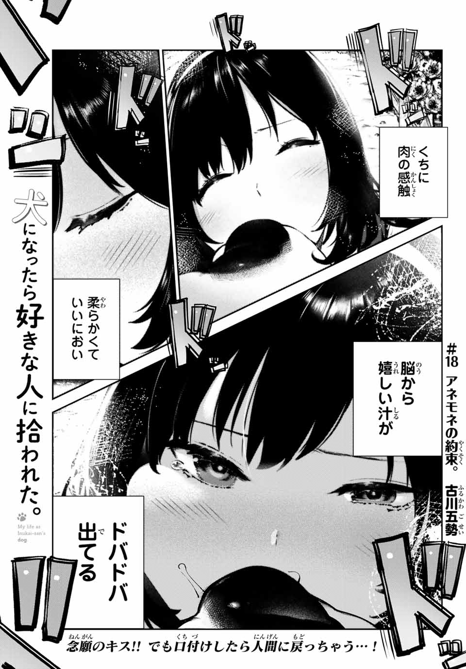 INU NI NATTARA SUKI NA HITO NI HIROWARETA - raw - Chapter 18 - https://jpdd.ccdd.to/JPDD/inuninattarasukinahitonihirowareta/162967/j3tvugv0qza.jpg