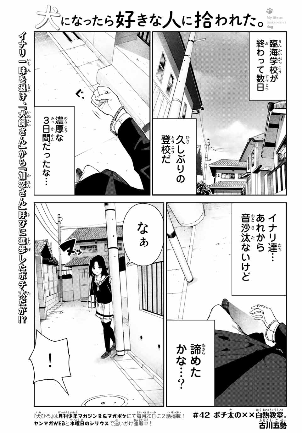 INU NI NATTARA SUKI NA HITO NI HIROWARETA - raw - Chapter 42 - https://jpdd.ccdd.to/JPDD/inuninattarasukinahitonihirowareta/211385/hbsieym2o5b.jpg