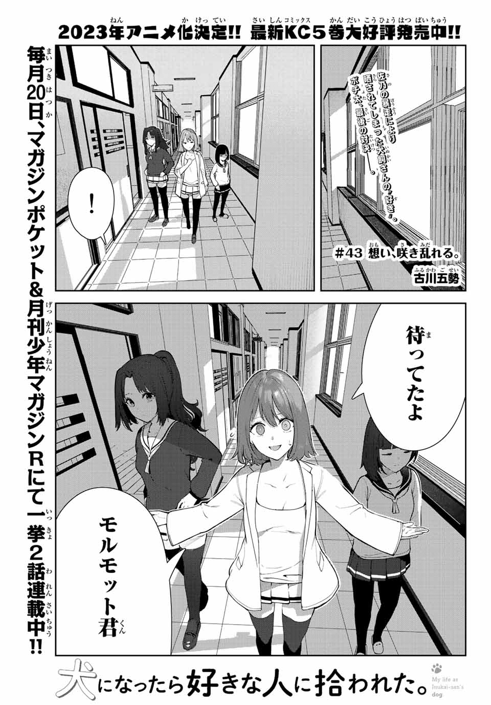 INU NI NATTARA SUKI NA HITO NI HIROWARETA - raw - Chapter 43 - https://jpdd.ccdd.to/JPDD/inuninattarasukinahitonihirowareta/214072/aymd40lrta0.jpg