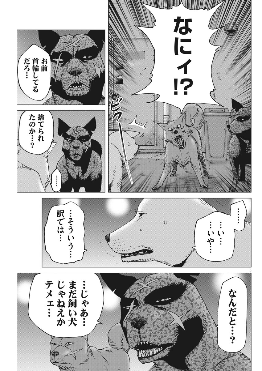 KEKKON AFLO TANAKA - raw - Chapter 96 - https://jpdd.ccdd.to/JPDD/kekkonaflotanaka/153105/dle0hra23lw.jpg