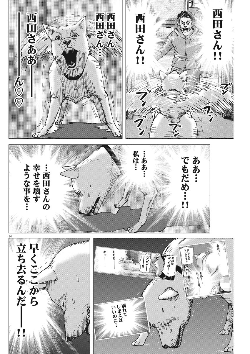 KEKKON AFLO TANAKA - raw - Chapter 96 - https://jpdd.ccdd.to/JPDD/kekkonaflotanaka/153105/iwme2bb2gk0.jpg