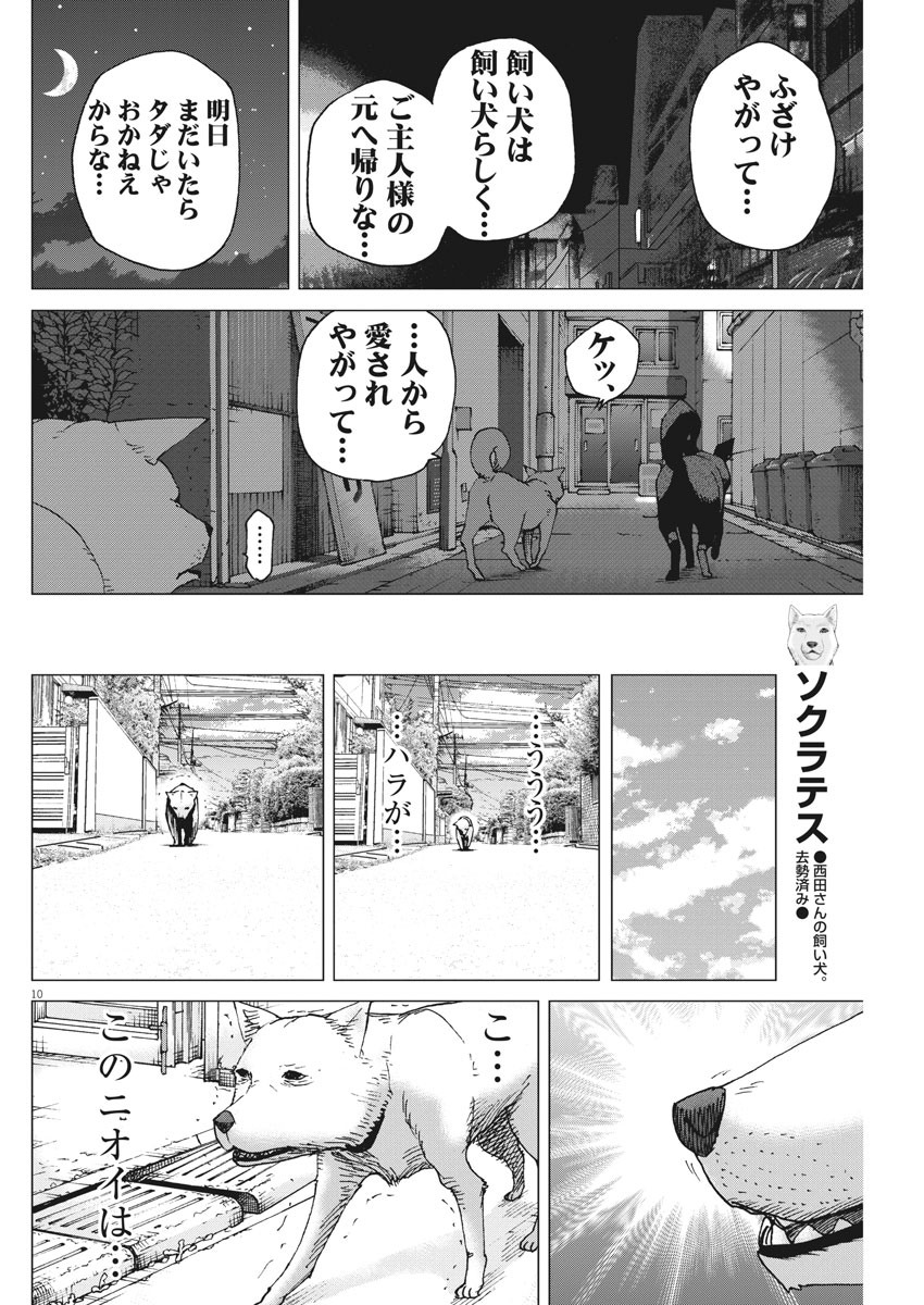 KEKKON AFLO TANAKA - raw - Chapter 96 - https://jpdd.ccdd.to/JPDD/kekkonaflotanaka/153105/rl5w1jan1nk.jpg