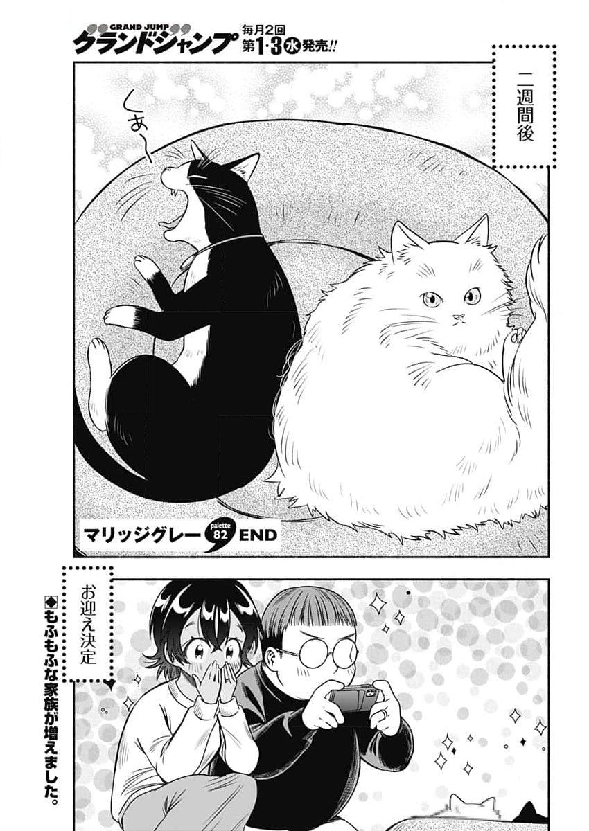 MARRIAGE GRAY - raw - Chapter 82 - https://jpdd.ccdd.to/JPDD/marriagegray/820000/p5wvib3vq2s.jpg