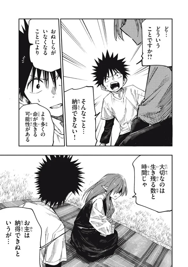 MAZUMESHI ELF TO YOUBOKUGURASHI - raw - Chapter 86 - https://jpdd.ccdd.to/JPDD/mazumeshielftoyoubokugurashi/187591/unwyyl1n1z3.jpg