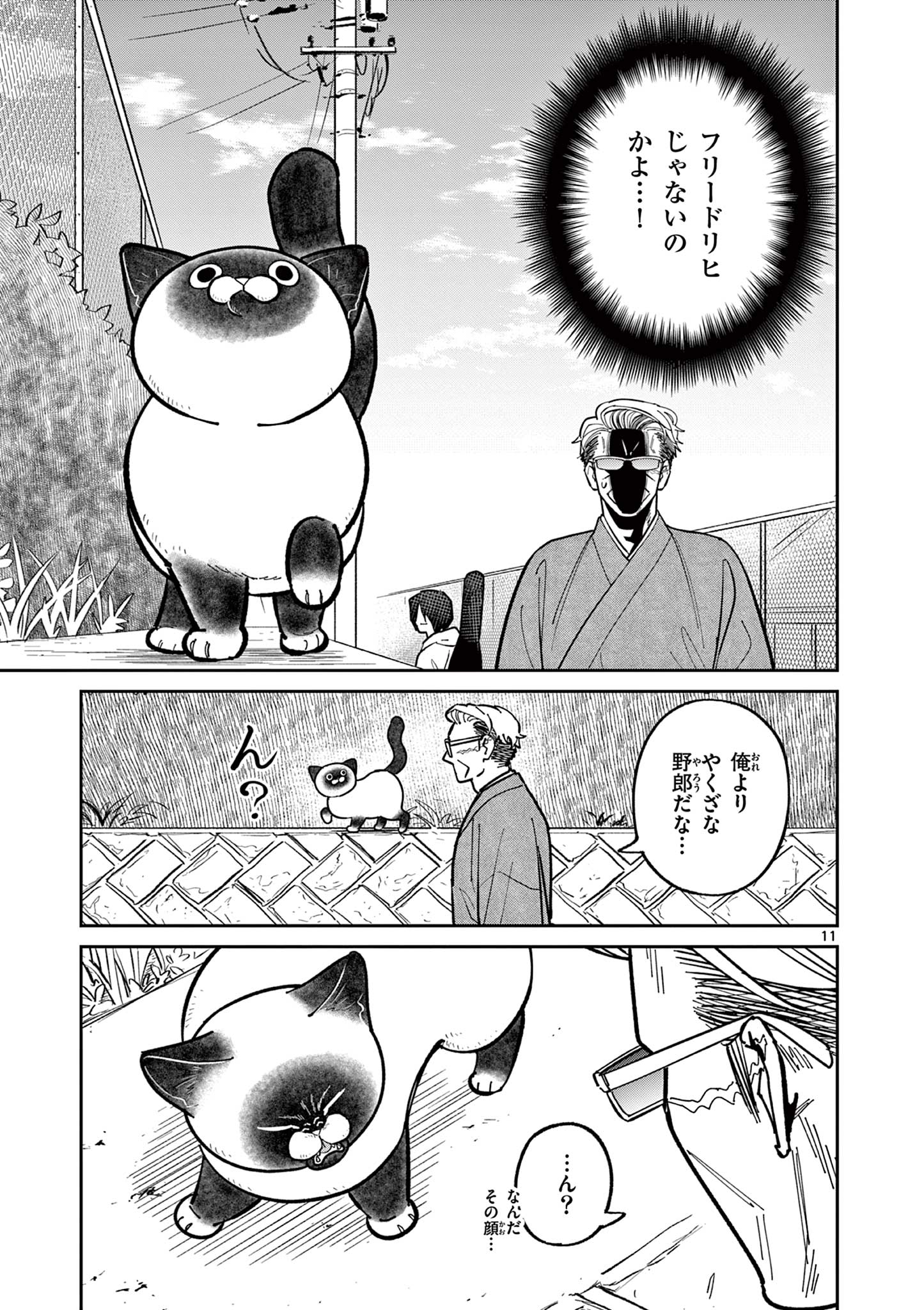 11
