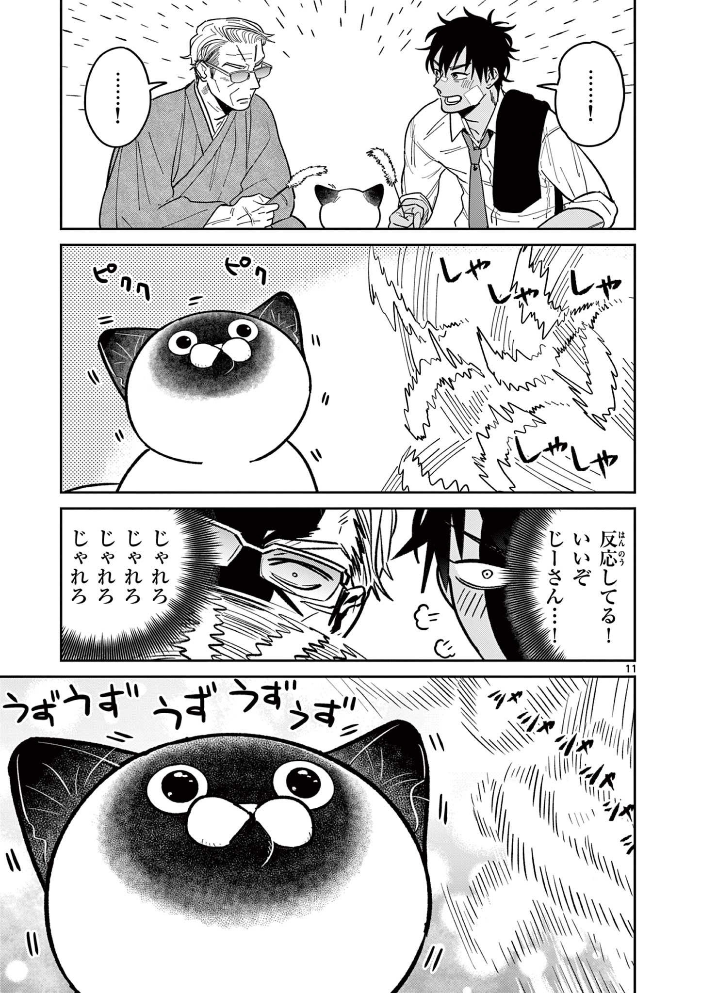 11