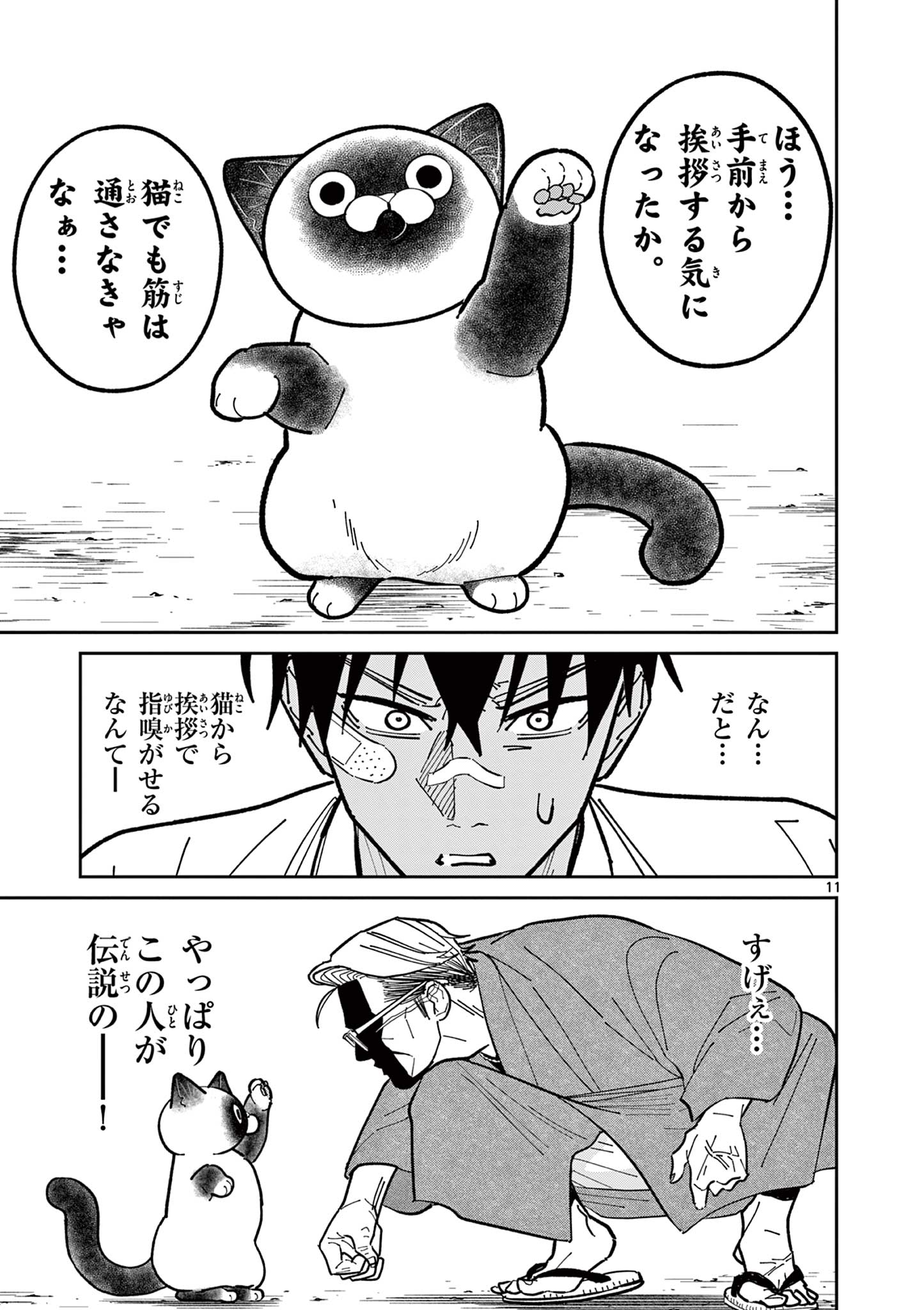 11