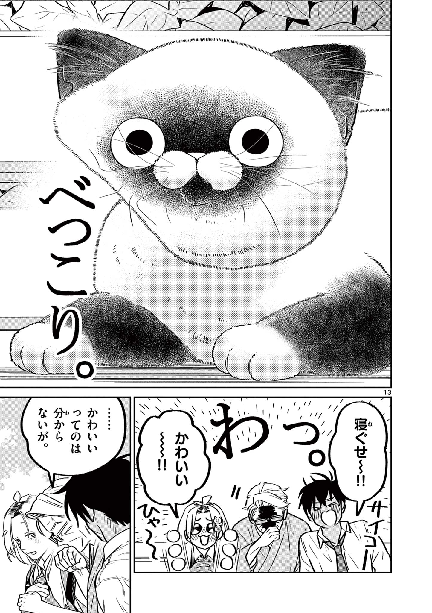 13