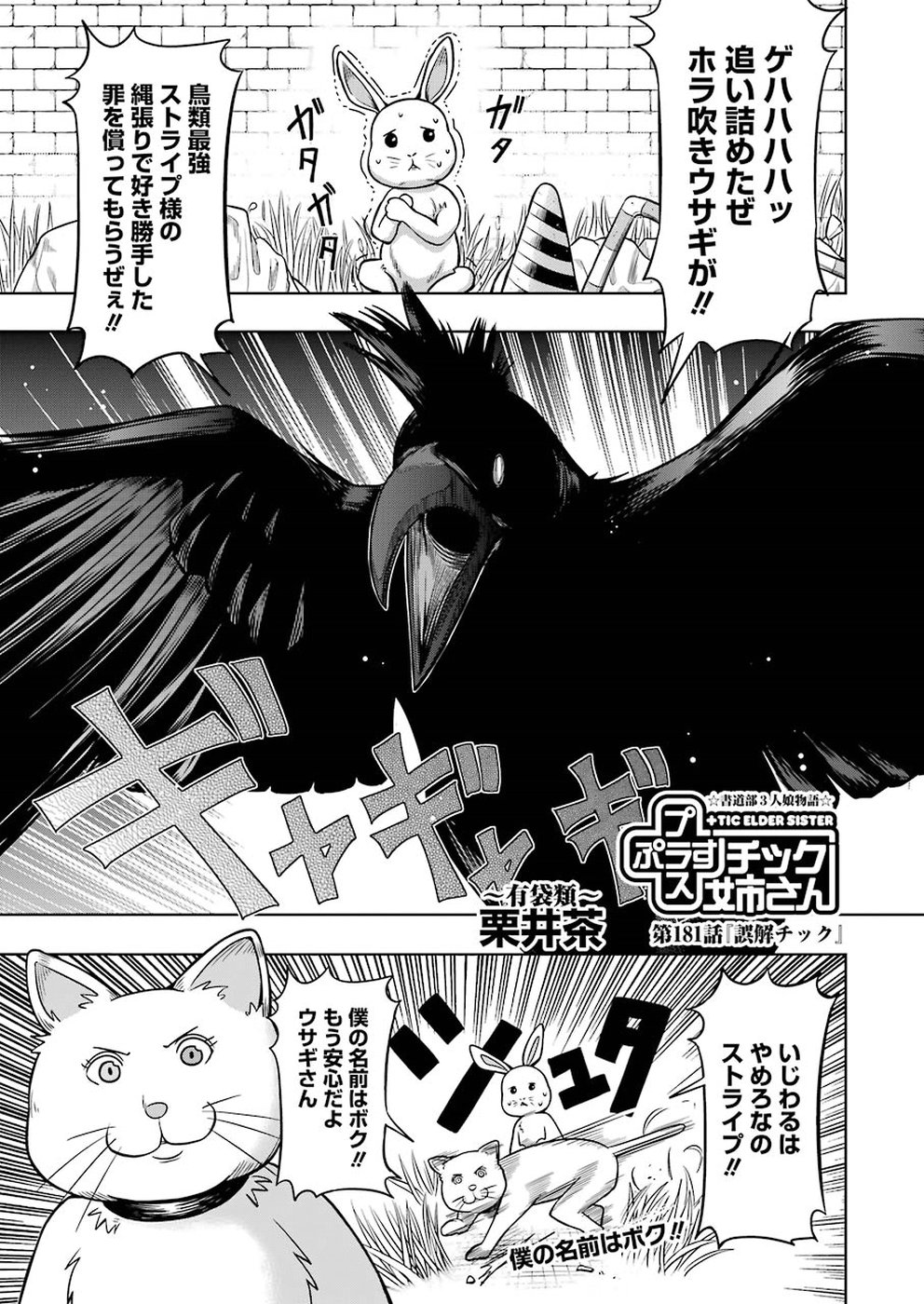PLASTIC NEE-SAN - raw - Chapter 181 - https://jpdd.ccdd.to/JPDD/plasticneesan/115715/j14aauut4xa.jpg