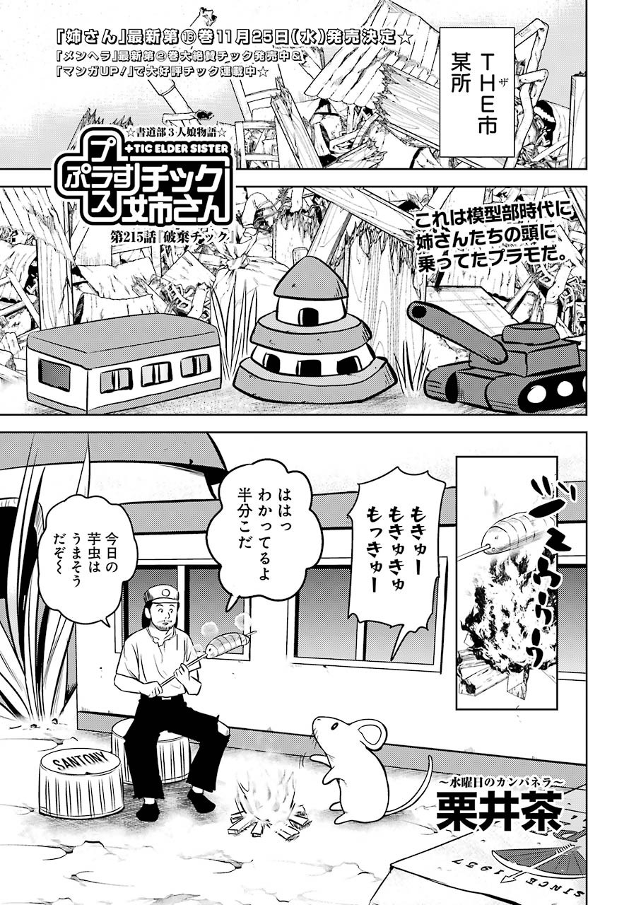 PLASTIC NEE-SAN - raw - Chapter 215 - https://jpdd.ccdd.to/JPDD/plasticneesan/151360/2nthczpp4dg.jpg