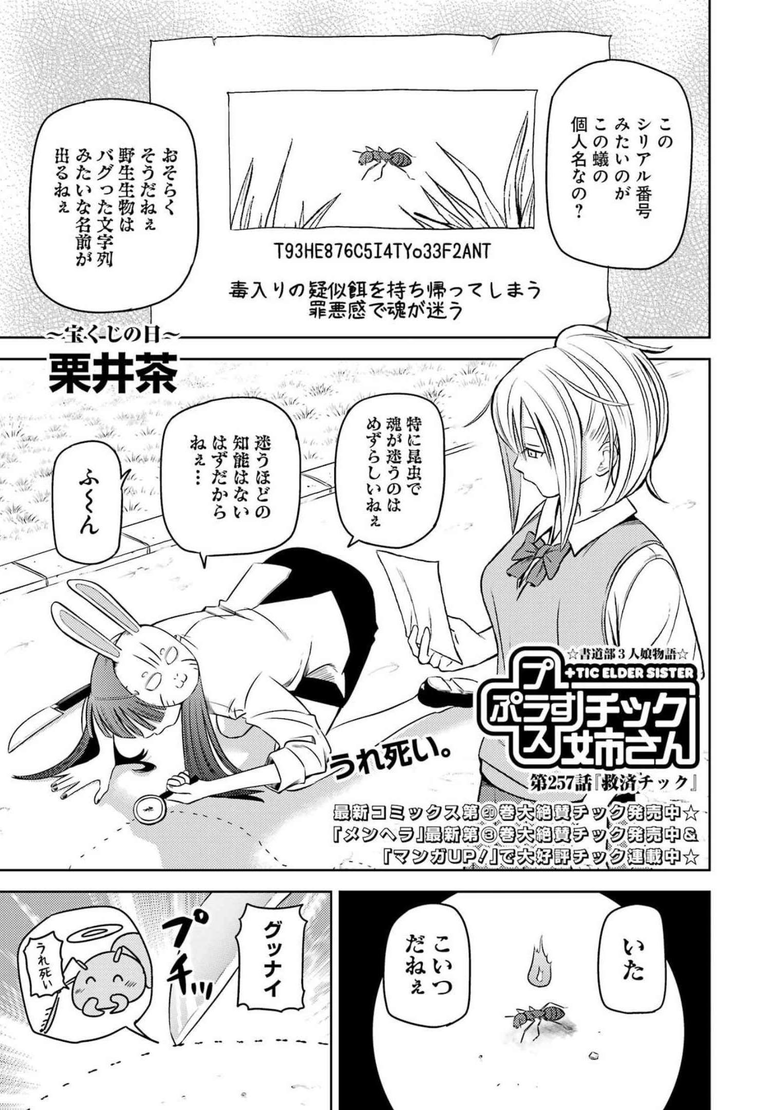 PLASTIC NEE-SAN - raw - Chapter 257 - https://jpdd.ccdd.to/JPDD/plasticneesan/207000/cd1bmdqz5jr.jpg