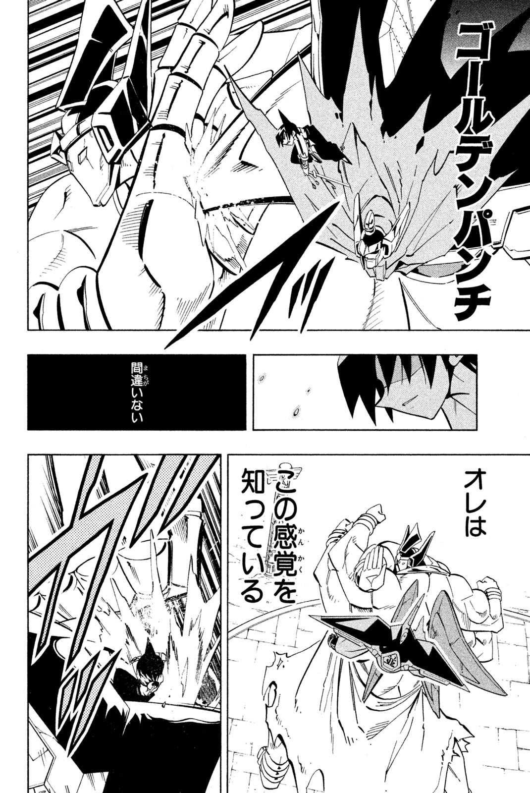 SHAMAN KING - raw - Chapter 223 - https://jpdd.ccdd.to/JPDD/shamanking/244616/0jb2zliolih.jpg