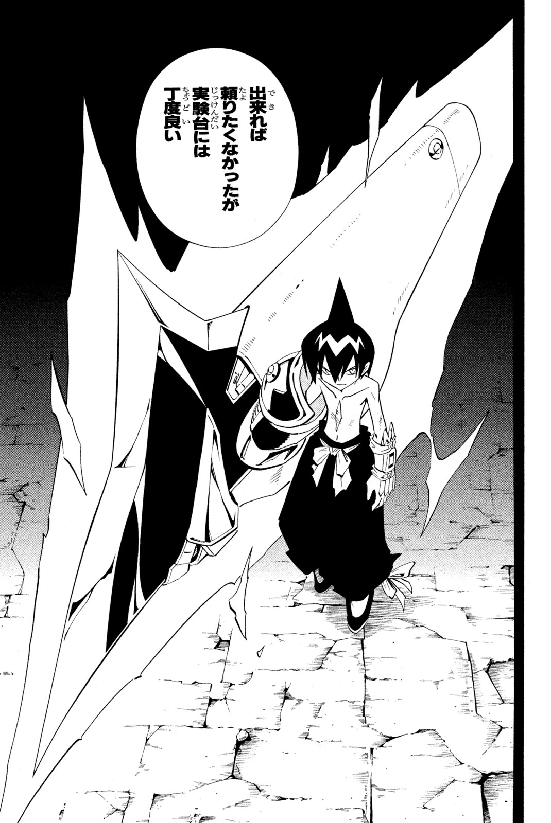 SHAMAN KING - raw - Chapter 223 - https://jpdd.ccdd.to/JPDD/shamanking/244616/15dnn41ylwr.jpg