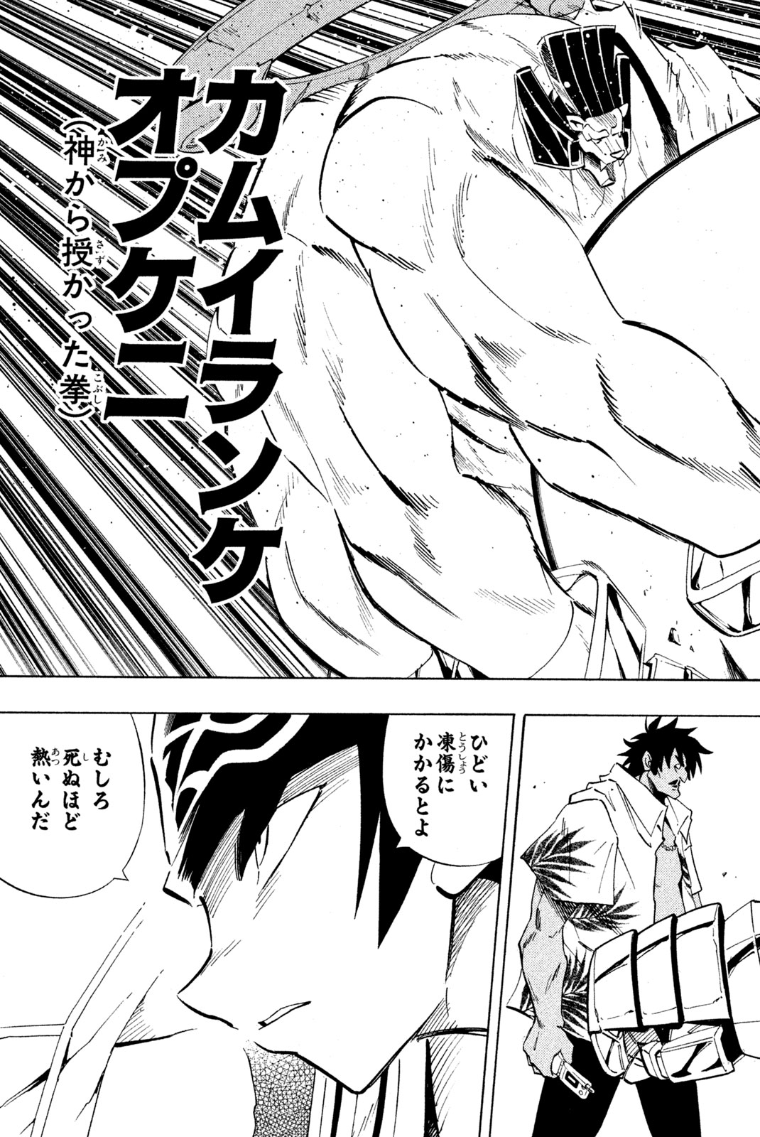 SHAMAN KING - raw - Chapter 227 - https://jpdd.ccdd.to/JPDD/shamanking/248488/zolujxk2ina.jpg