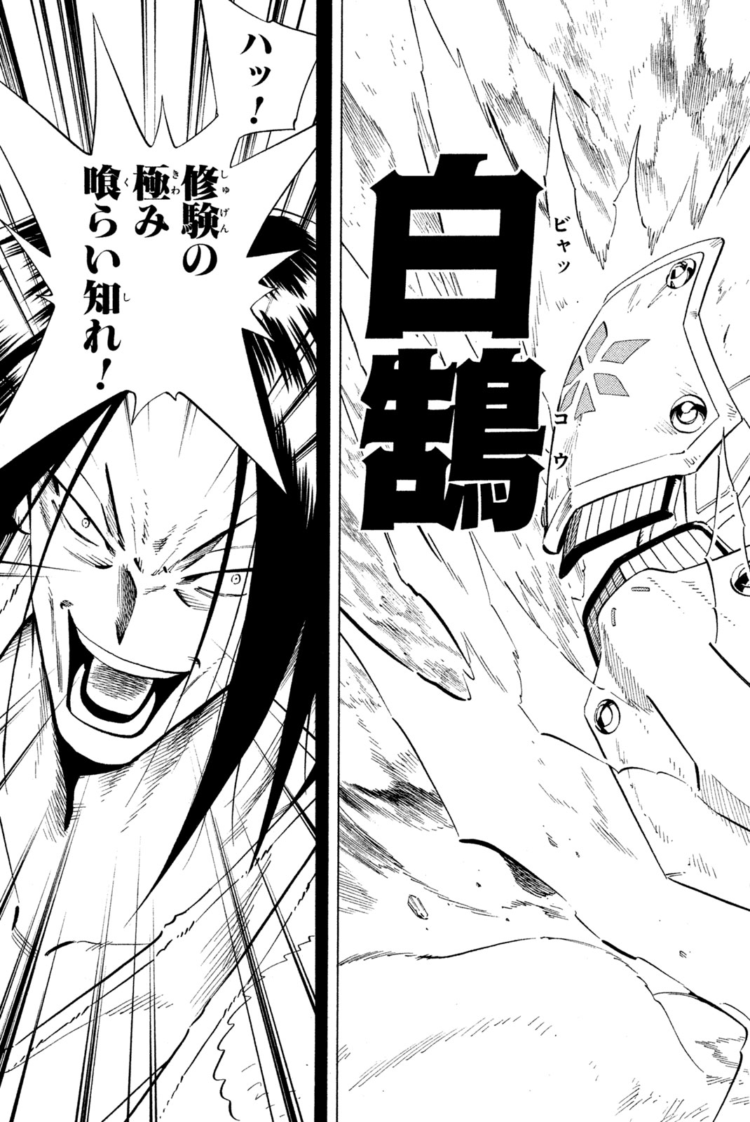 SHAMAN KING - raw - Chapter 235 - https://jpdd.ccdd.to/JPDD/shamanking/255838/ggbxyd5w5se.jpg