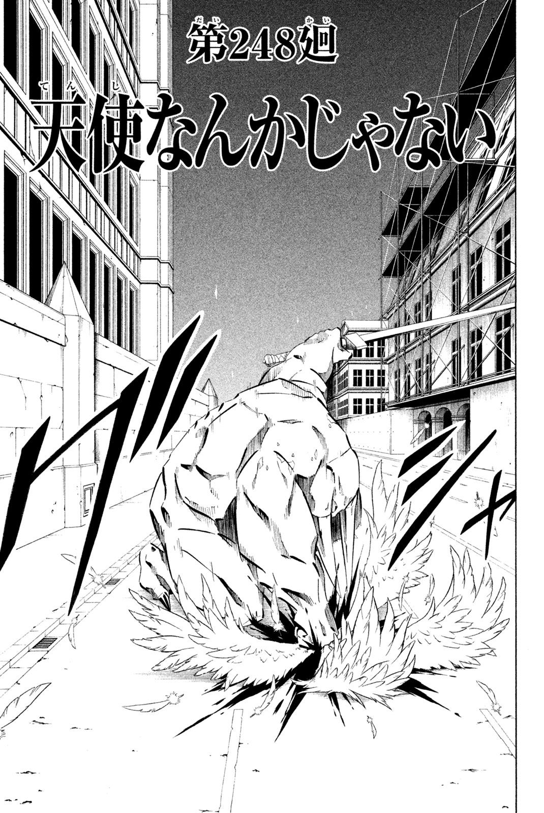 SHAMAN KING - raw - Chapter 248 - https://jpdd.ccdd.to/JPDD/shamanking/268695/ausokzjkebg.jpg