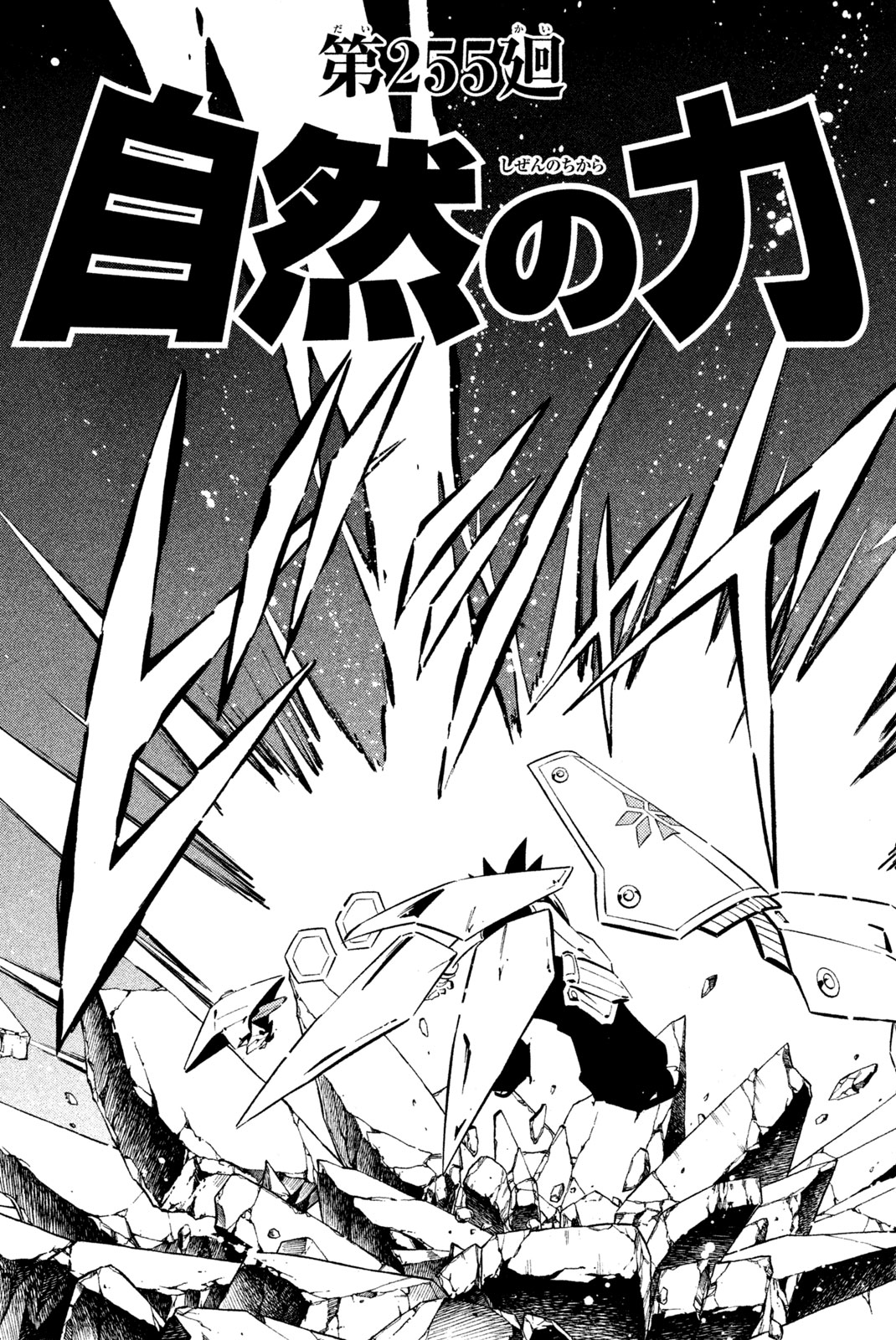 SHAMAN KING - raw - Chapter 255 - https://jpdd.ccdd.to/JPDD/shamanking/276174/3nlfzbksrlq.jpg