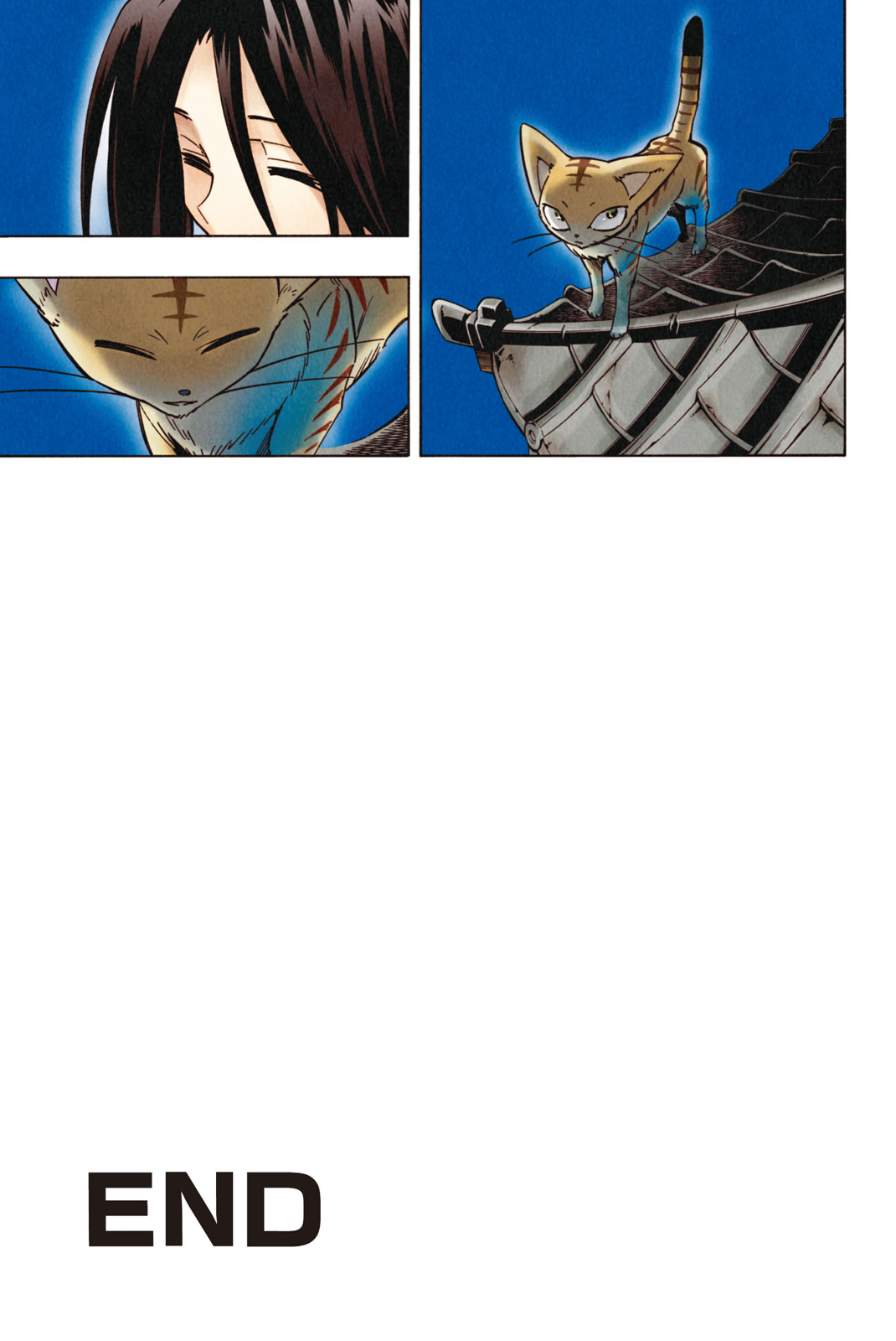 SHAMAN KING - raw - Chapter 300 - END - https://jpdd.ccdd.to/JPDD/shamanking/3000000/edrakhnuwti.jpg