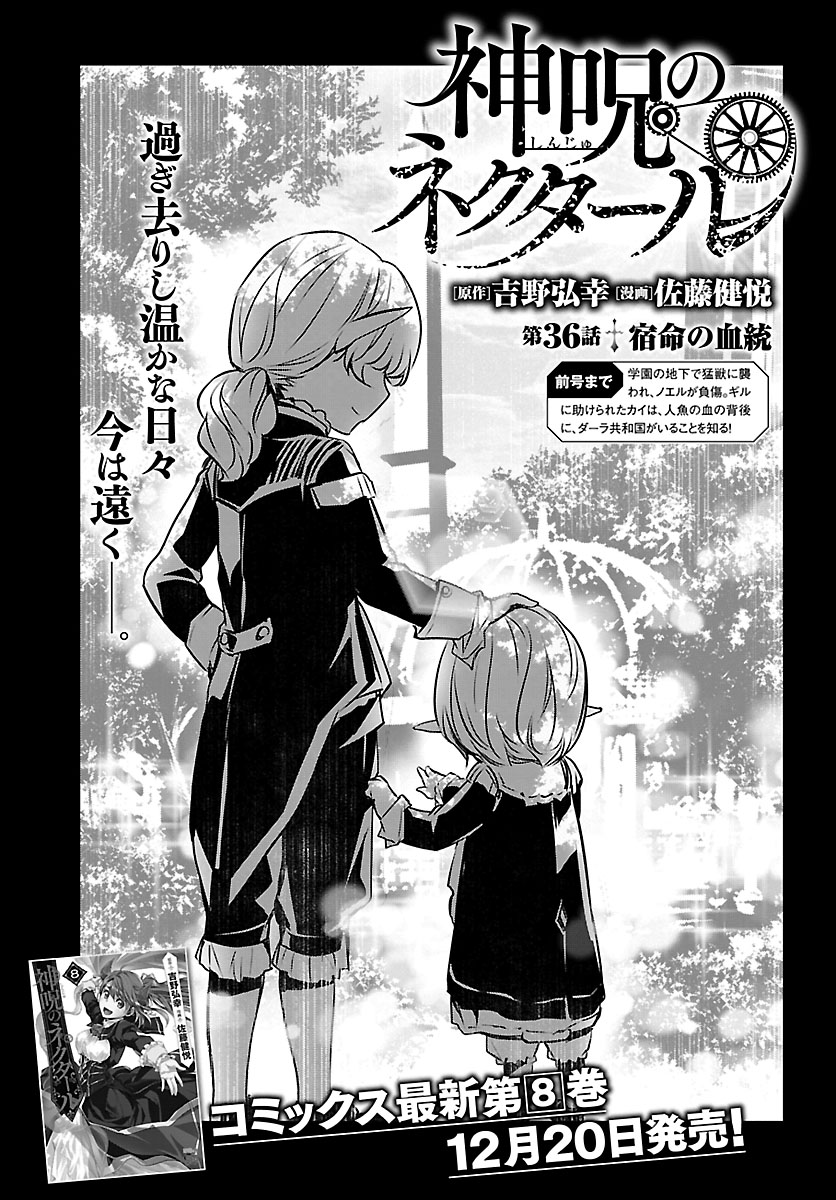 SHINJU NO NECTAR - raw - Chapter 36 - https://jpdd.ccdd.to/JPDD/shinjunonectar/112416/b51pgtaqt0a.jpg