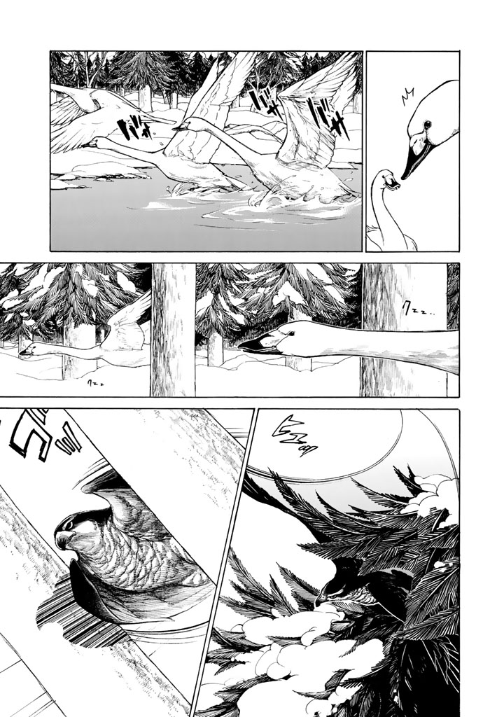SHOUKOKU NO ALTAIR - raw - Chapter 43 - https://jpdd.ccdd.to/JPDD/shoukokunoaltair/151787/cjgjfgvbhs3.jpg