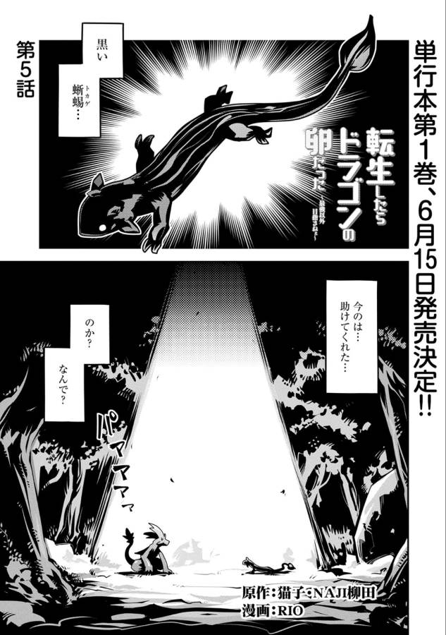 TENSEI SHITARA DRAGON NO TAMAGO DATTA - SAIKYOU IGAI MEZASA NEE - raw - Chapter 5 - https://jpdd.ccdd.to/JPDD/tenseishitaradragonnotamagodattasaikyouigaimezasanee/142775/ndtqqyn3gi3.png