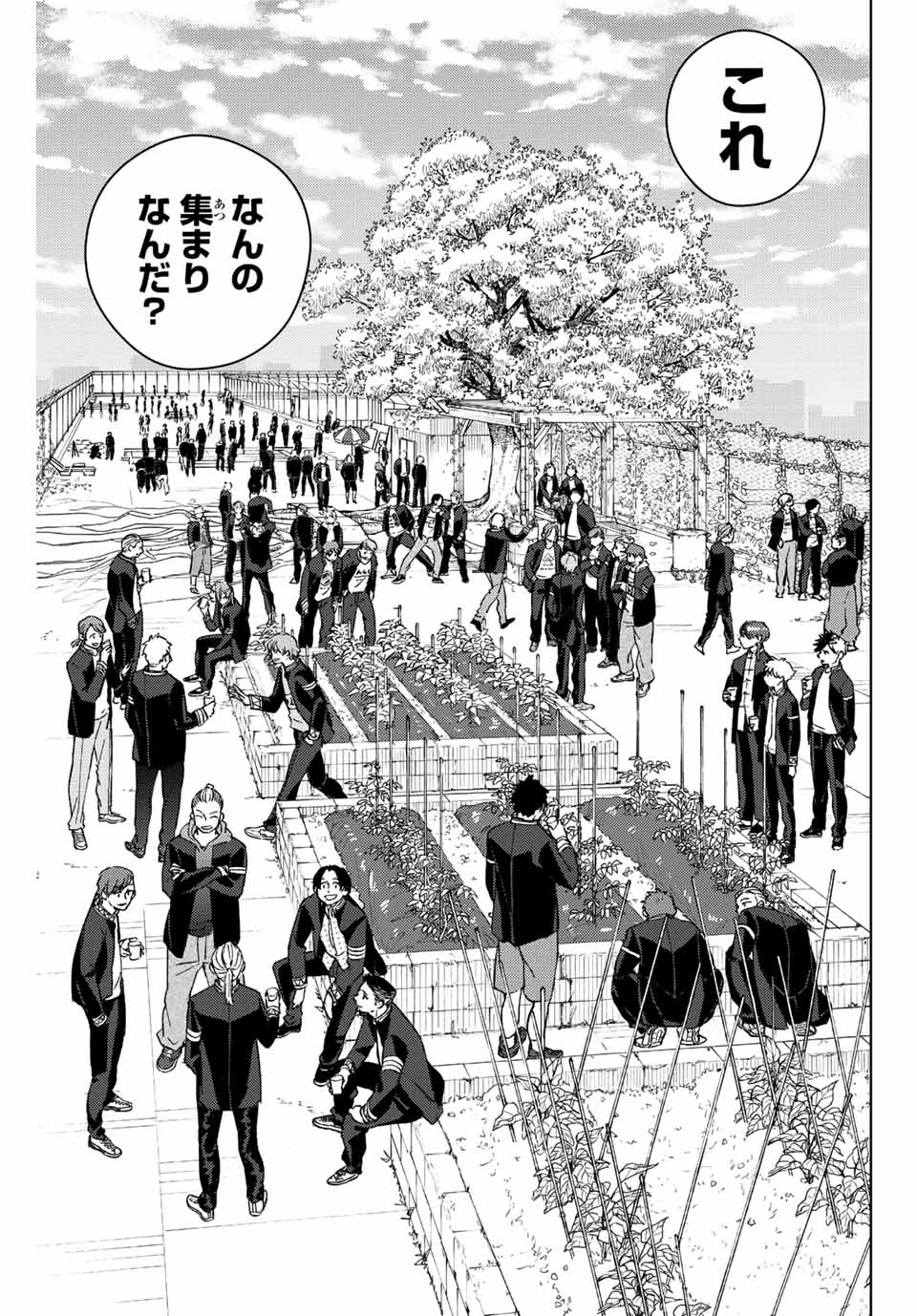 WIND BREAKER - raw - Chapter 62 - https://jpdd.ccdd.to/JPDD/windbreaker/195490/he0hnpcywpv.jpg